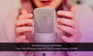 La clave para una experiencia de ASMR excepcional los micrófonos más nítidos del mercado