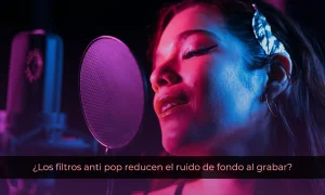 Los filtros anti pop reducen el ruido de fondo al grabar