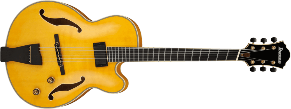 Características principales de las guitarras hollow body archtop